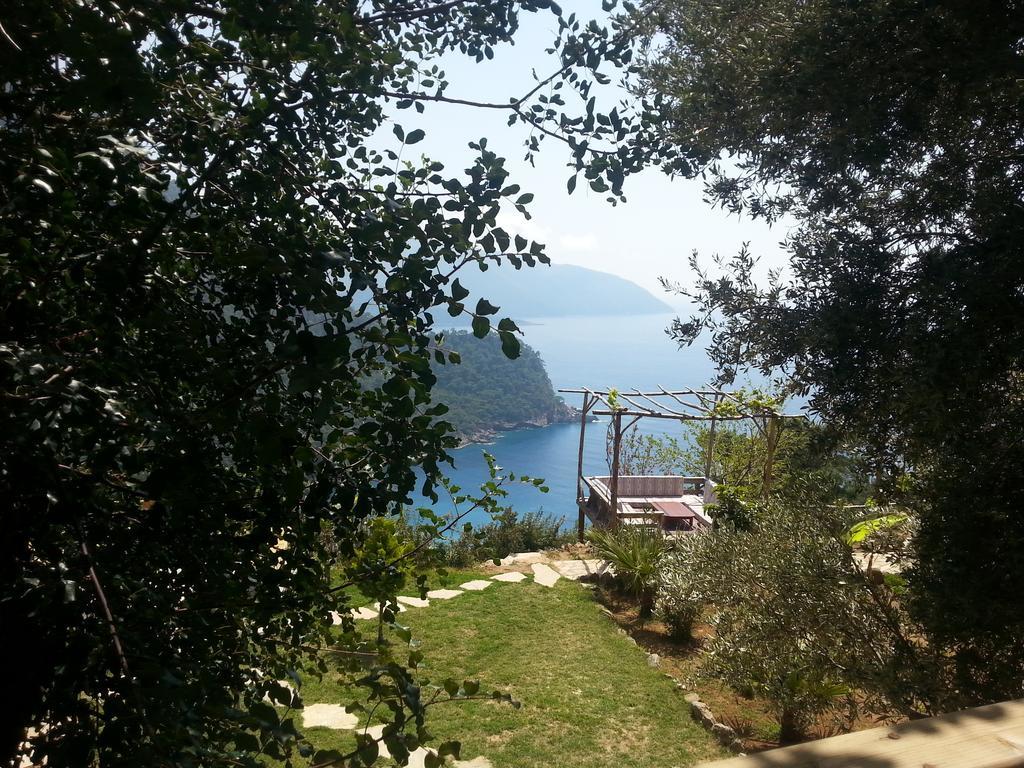 Hotel Olive Garden Kabak à Faralya Extérieur photo
