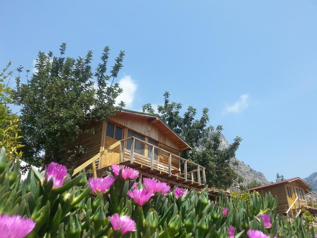 Hotel Olive Garden Kabak à Faralya Extérieur photo