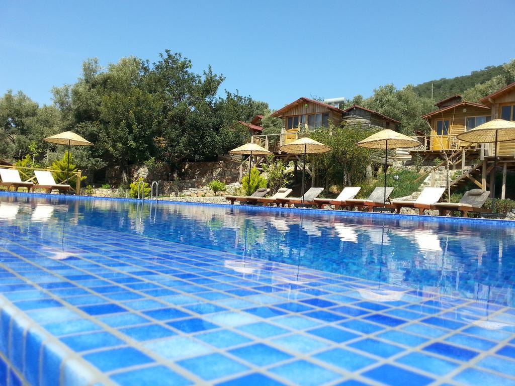 Hotel Olive Garden Kabak à Faralya Extérieur photo