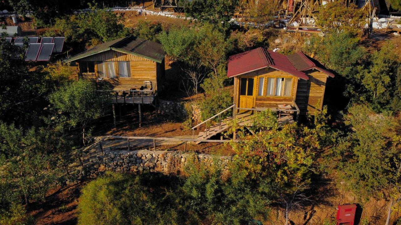 Hotel Olive Garden Kabak à Faralya Extérieur photo