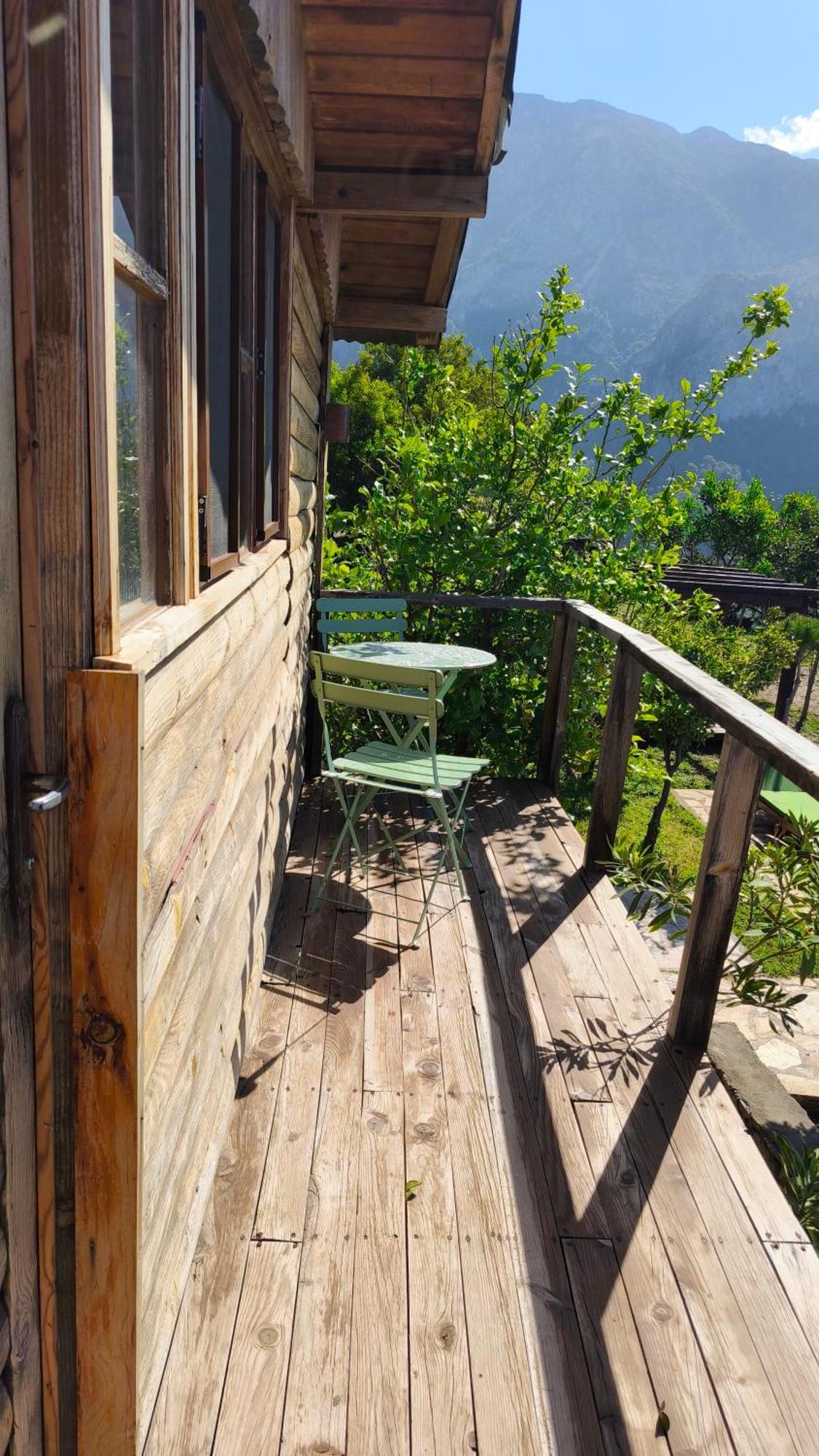 Hotel Olive Garden Kabak à Faralya Extérieur photo