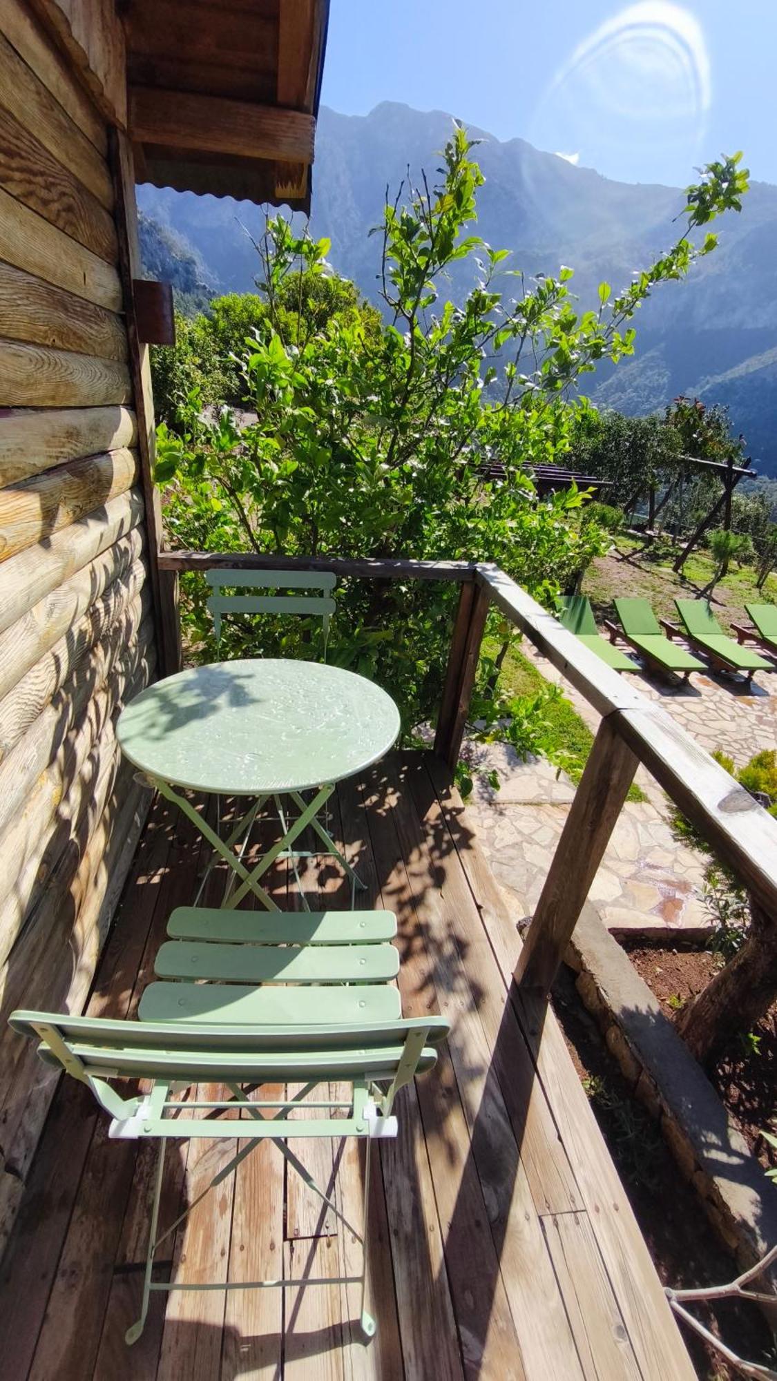 Hotel Olive Garden Kabak à Faralya Extérieur photo