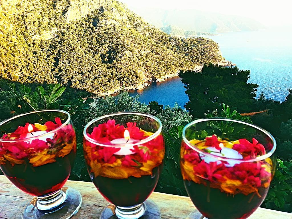 Hotel Olive Garden Kabak à Faralya Extérieur photo