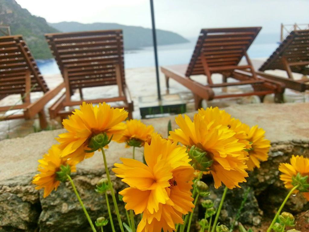Hotel Olive Garden Kabak à Faralya Extérieur photo