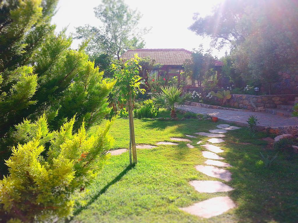 Hotel Olive Garden Kabak à Faralya Extérieur photo