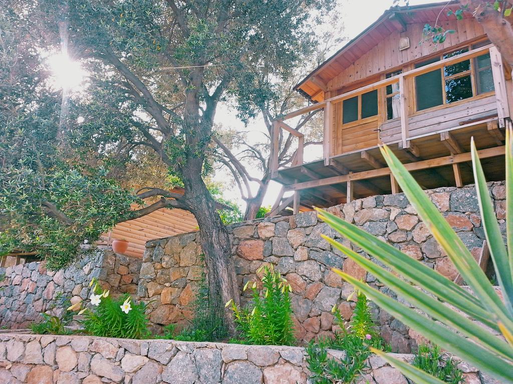 Hotel Olive Garden Kabak à Faralya Extérieur photo