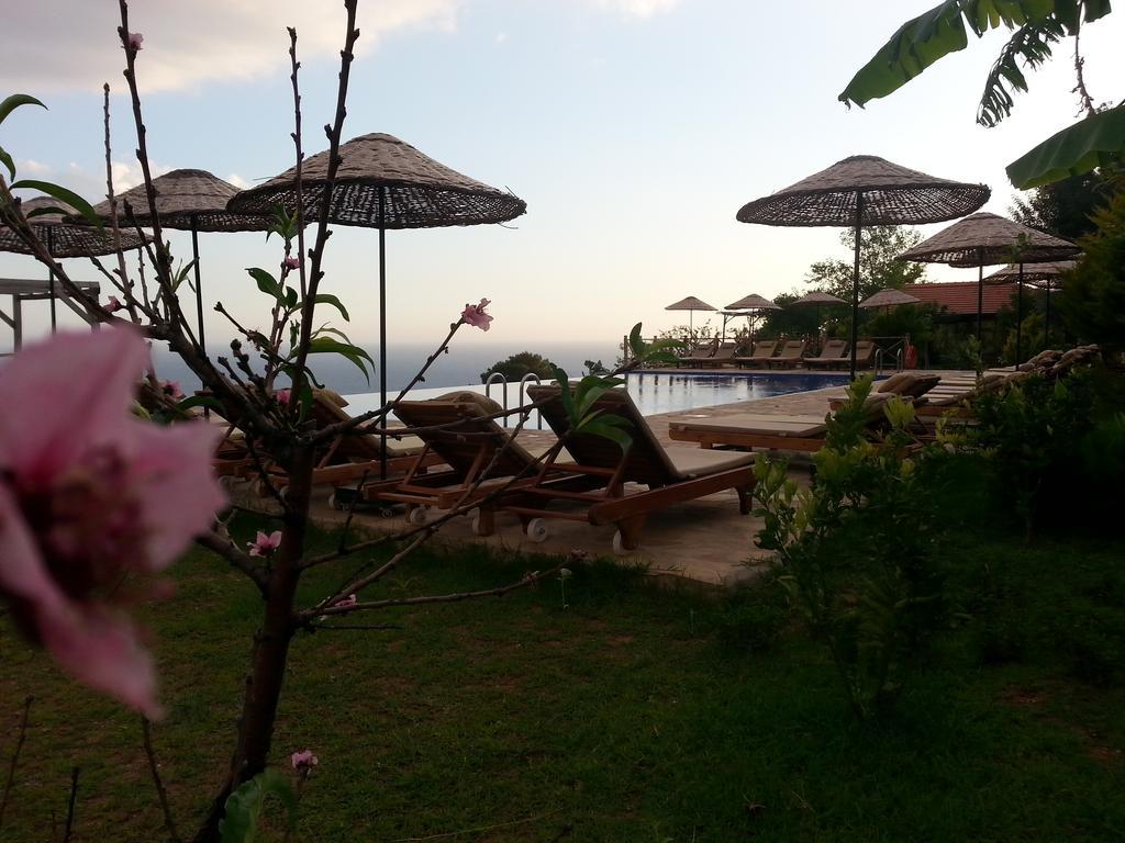 Hotel Olive Garden Kabak à Faralya Extérieur photo