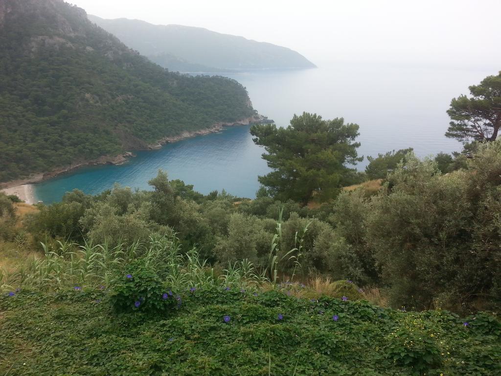 Hotel Olive Garden Kabak à Faralya Extérieur photo