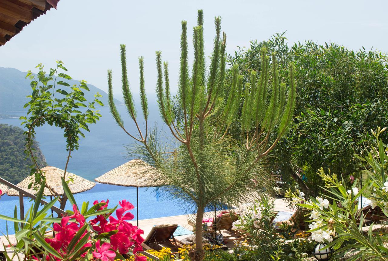 Hotel Olive Garden Kabak à Faralya Extérieur photo