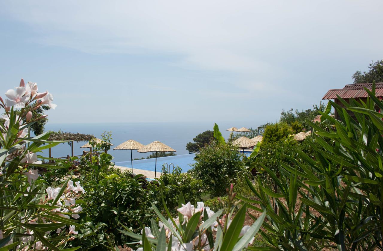 Hotel Olive Garden Kabak à Faralya Extérieur photo